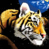 №10 Тигр планета 31-1539-НТ (2010-04) оригинал