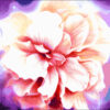 №58 Фантазия 36-2904-НФ (2011-04) оригинал №58 Фантазия 36-2904-НФ (2011-04) оригинал
