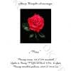 №60 Роза 21-2132-НР (2011-05) титул №60 Роза 21-2132-НР (2011-05) титул