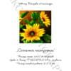 №98 Солнечное настроение 32-1369-НС (2012-02) титул