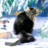 №352 Котофей 37-5329-НК (2019-06) превью №352 Котофей 37-5329-НК (2019-06) превью