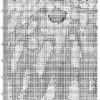 № 459 Филин на ветке 47-3174-НФ схема ук № 459 Филин на ветке 47-3174-НФ схема ук