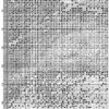 № 442 Ночная охота 34-2255-НН схема укр 1